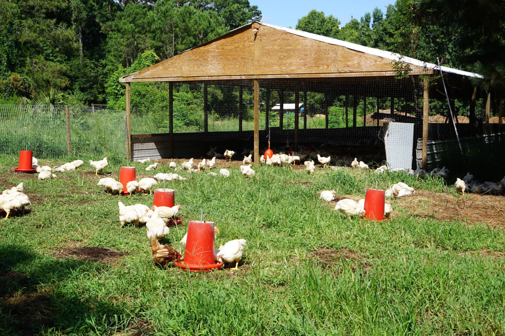 Storey Farms